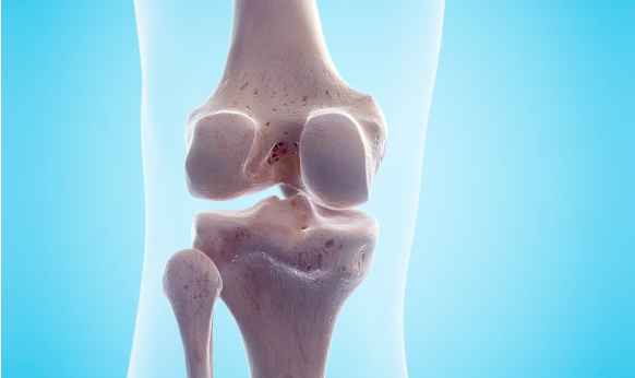 glucosamine for dogs side effects, benefits