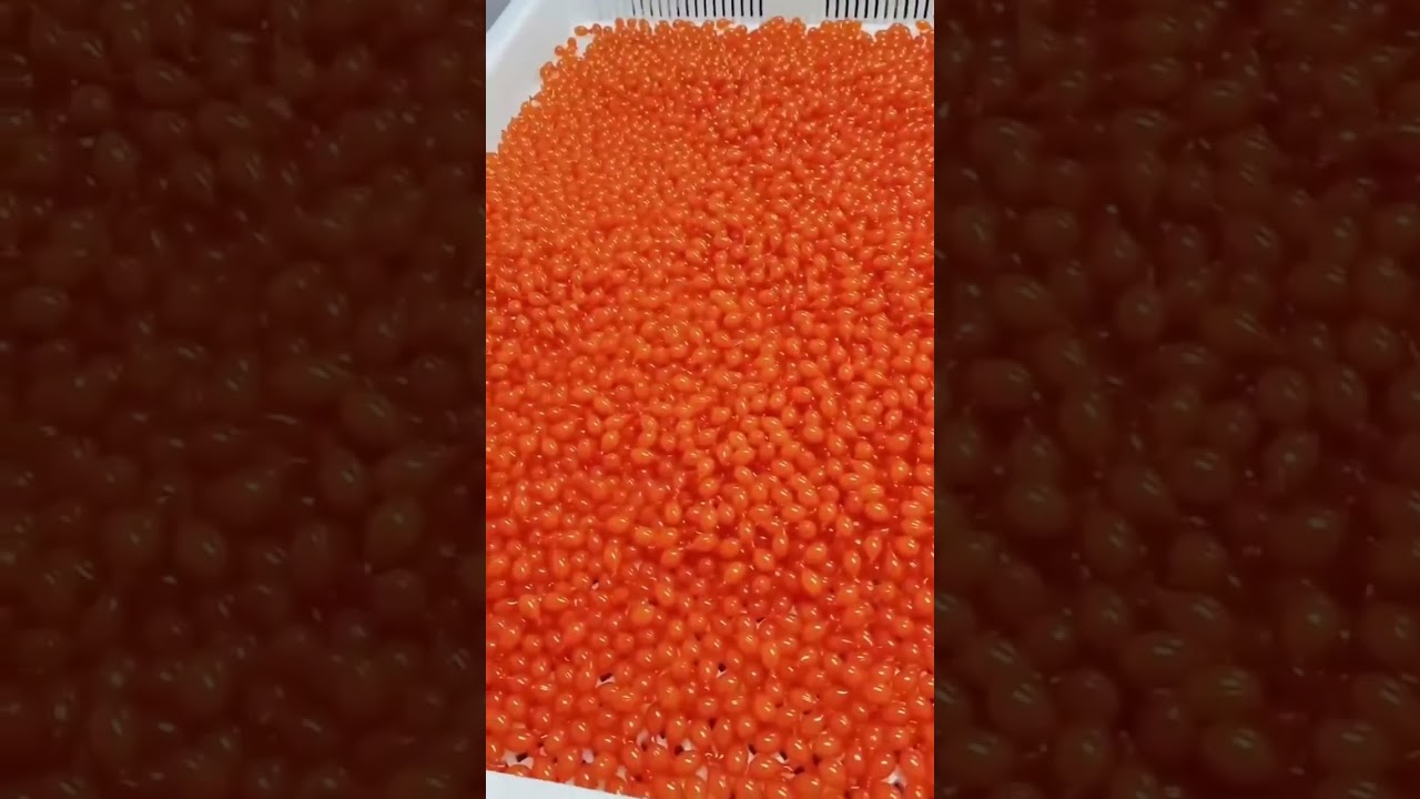 Hsviko krill oil samples for dogs and cats shipped to Taiwan