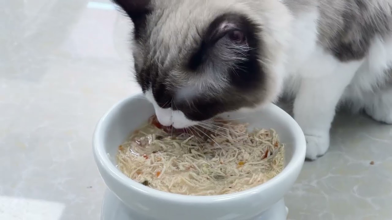 犬猫用液体カルシウムサプリメント
