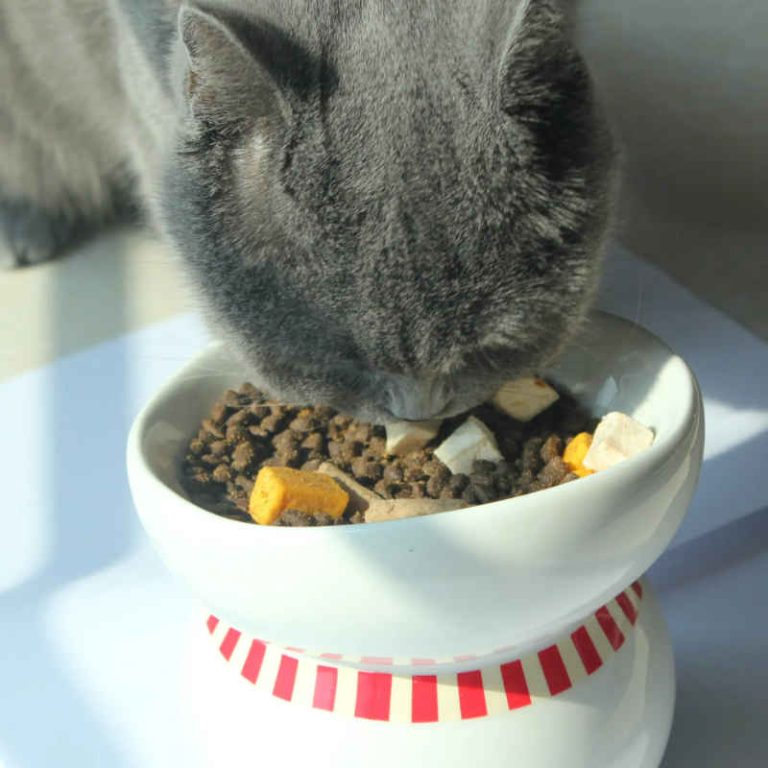 Freeze Dried Dry Cat Food HsViko Pet Supplements