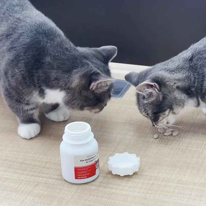 tablet suplemen multivitamin untuk anjing dan kucing
