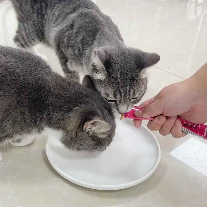 Sajian Kucing Tuna & Udang