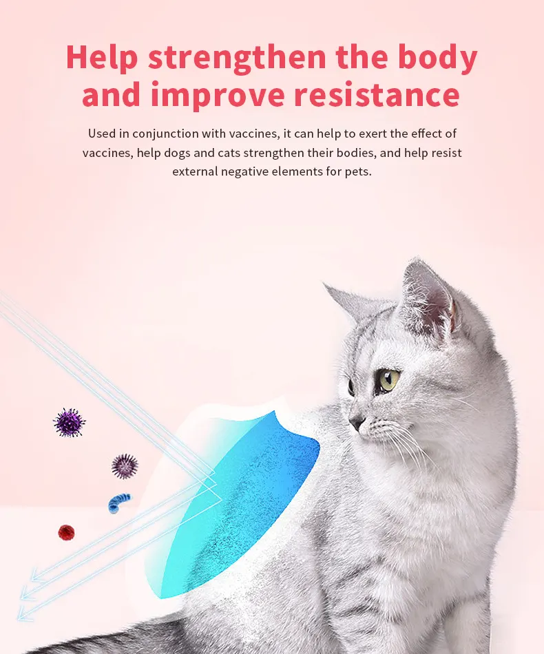 immune supplement for dogs and cats