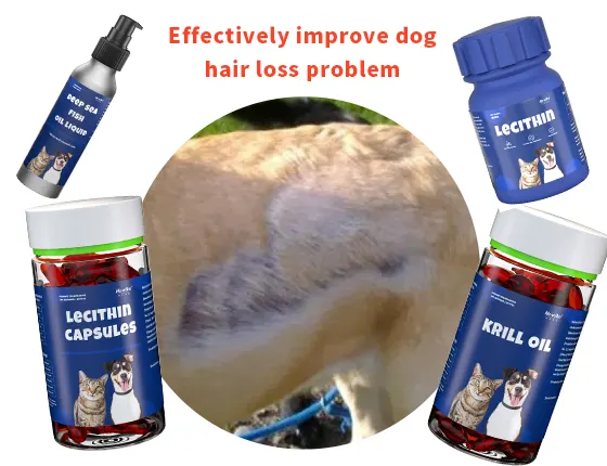 dog coat growth and hair loss supplements