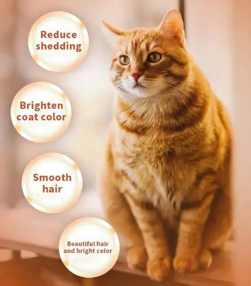 important nutrients for cat skin and coat care