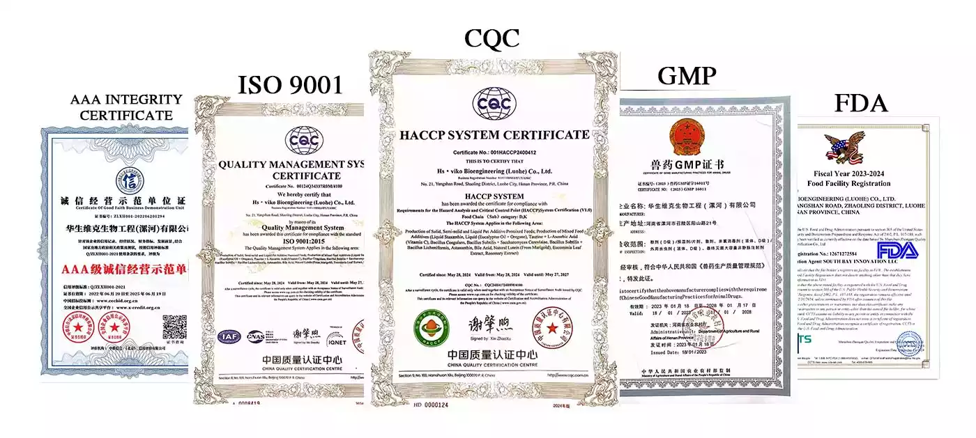 hsviko gmp, cqc, fda certificate