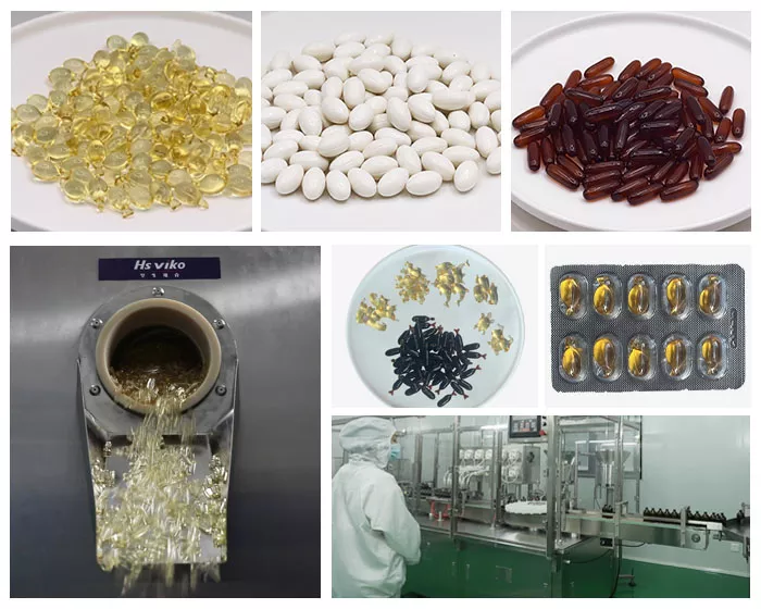 맞춤형 캡슐 반려동물 보조제