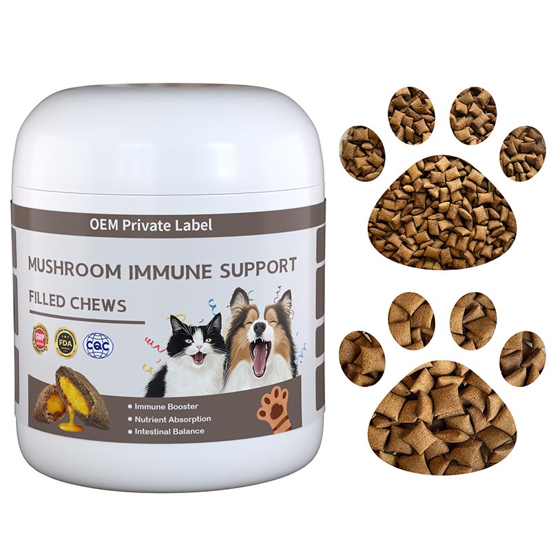 mushroom immune support chews – pillow shape filled