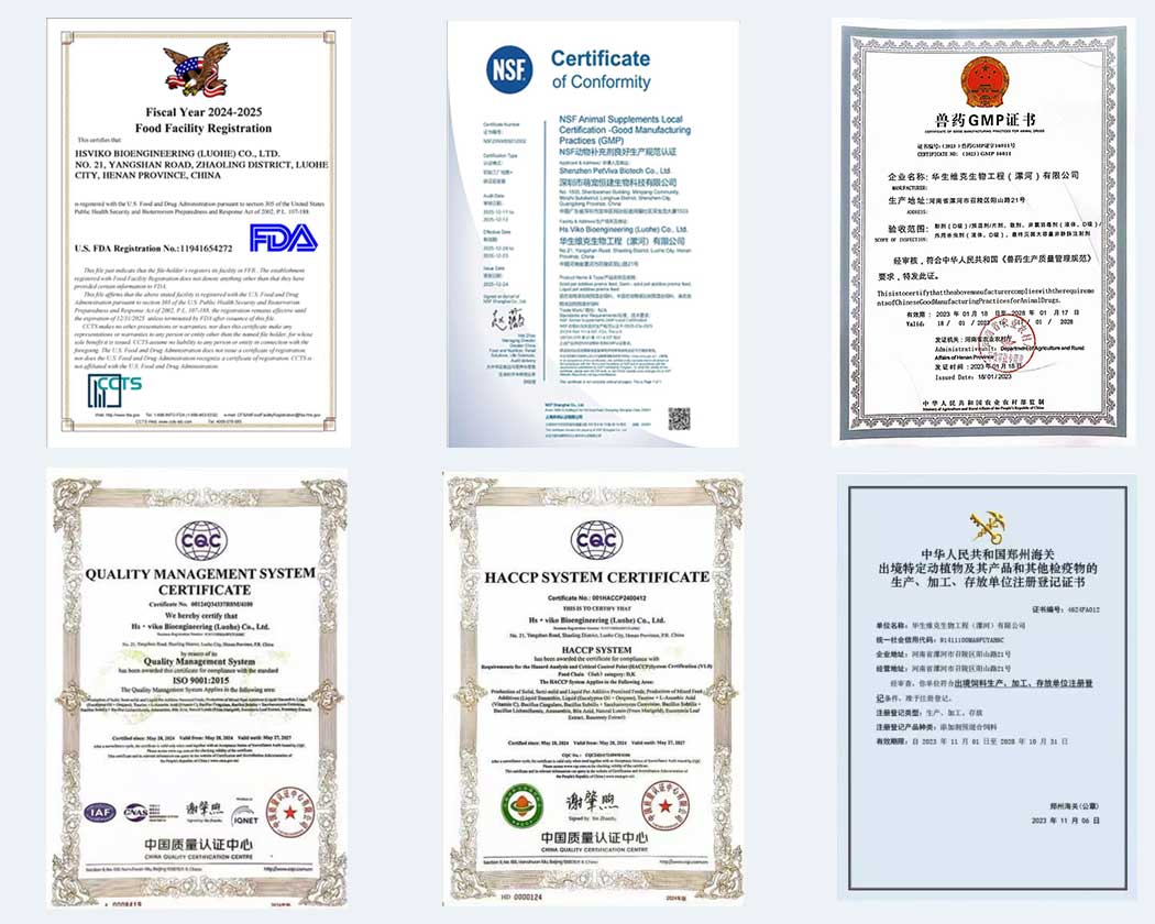 quality you can trust