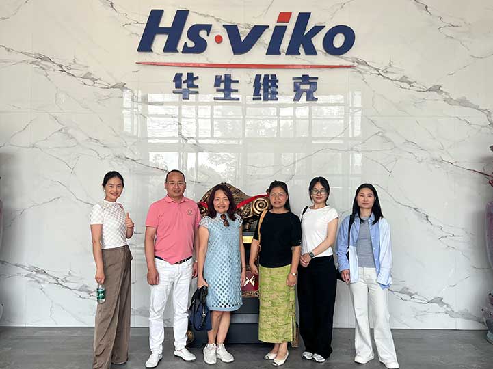 singapore client successfully completes factory audit at hsviko factory